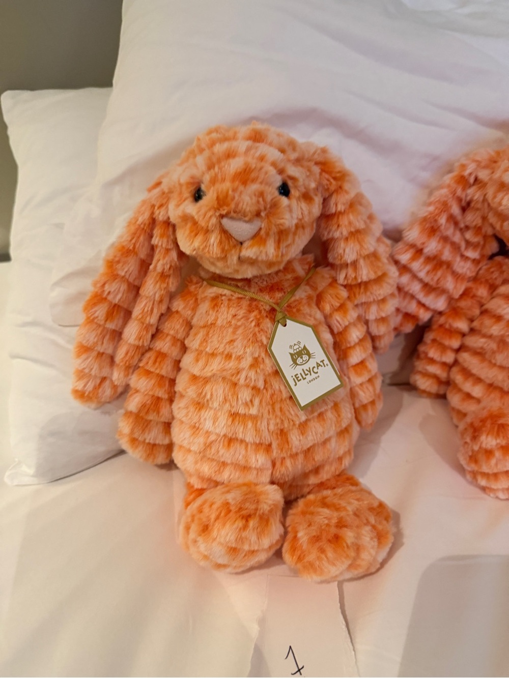 Jellycat Fizzleskip Bunny - Independent EU and UK Stores Only - Picture 6 of 9